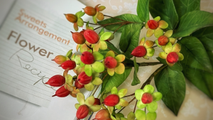 金絲桃 Hypericum