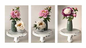 Sugar Peony