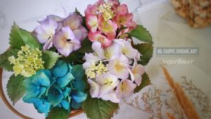 繡球花Hydrangea